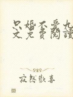 只婚不爱九醉全文免费阅读笔趣阁