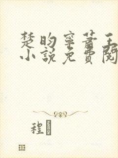 楚昀宁萧王穿越小说免费阅读无弹窗