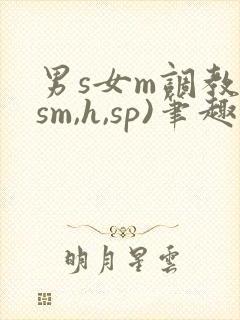 男s女m调教(sm,h,sp)笔趣阁