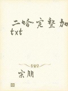 二哈完整加番外txt