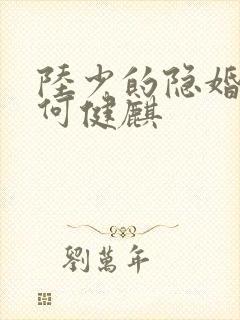 陆少的隐婚罪妻何健麒