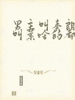 男主叫秦朗女主叫叶啥的都市小说