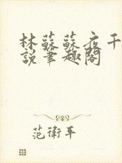 林苏苏夜千寒小说笔趣阁