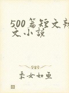 500篇短文辣文小说