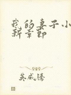 我的妻子小说最新章节