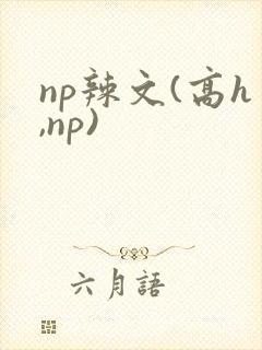 np辣文(高h,np)封面