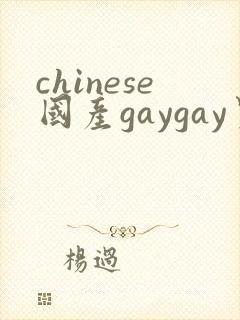 chinese国产gaygay男男网站