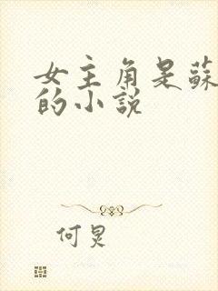 女主角是苏沐雪的小说封面