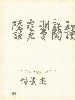 陆霆渊许知夏小说免费阅读最新章节