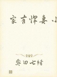 家有悍妻 小说封面