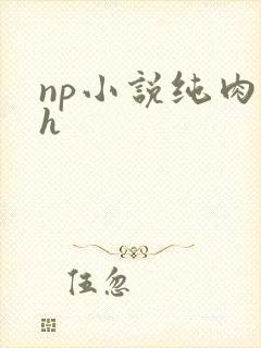 np小说纯肉高h封面