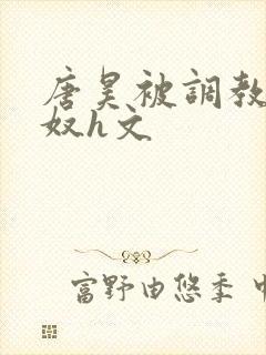 唐昊被调教成肉奴h文