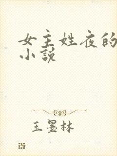 女主姓夜的现代小说封面