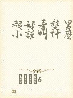 超好看双男主的小说叫什么