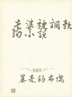 老婆被调教成母狗小说