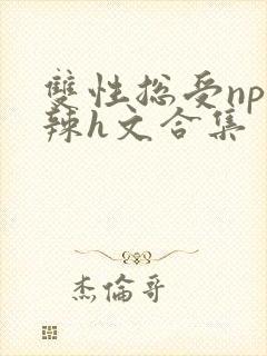 双性总受np高辣h文合集封面