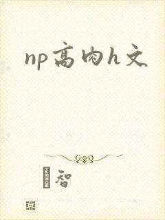 np高肉h文