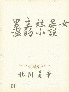 男主姓晏女主姓温的小说