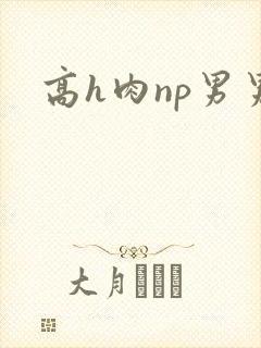 高h肉np男男