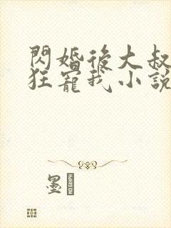 闪婚后大叔每天狂宠我小说