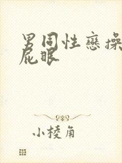 男同性恋操男人屁眼