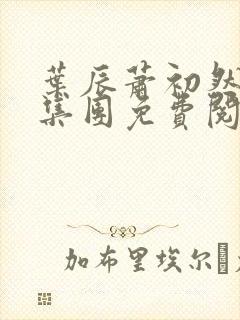 叶辰萧初然帝豪集团免费阅读封面