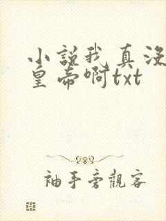 小说我真没想当皇帝啊txt