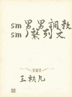 sm男男调教(sm )系列文