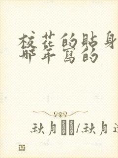 校花的贴身高手哪年写的