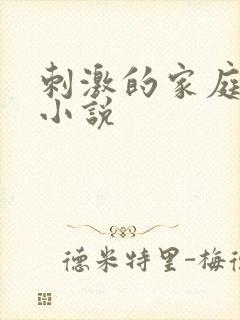 刺激的家庭乱仑小说