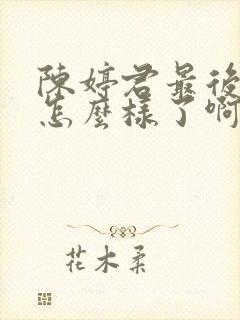 陈婷君最后结局怎么样了啊