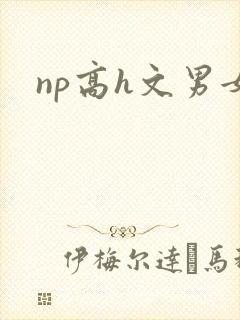 np高h文男女