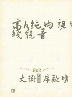 高h纯肉视频在线观看