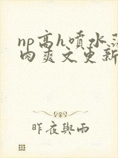 np高h喷水荡肉爽文更新时间