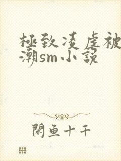 极致凌虐被迫高潮sm小说