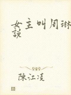 女主叫周琳的小说