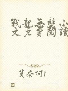 战龙无双小说全文免费阅读