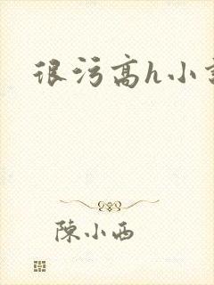 很污高h小说封面