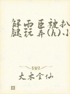 解雨臣被扒开双腿玩弄(h)小说封面