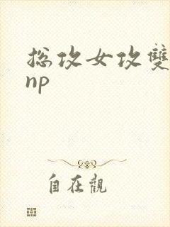 总攻女攻双性受np封面