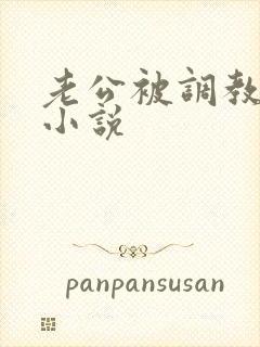 老公被调教男奴小说