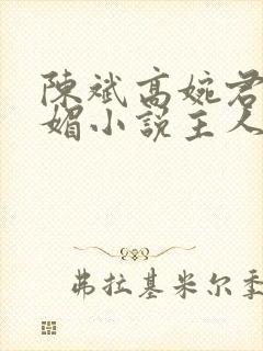 陈斌高婉君赵心媚小说主人公免费阅读封面