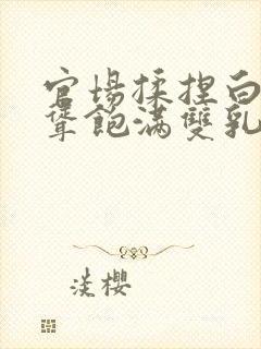 官场揉捏白嫩高耸饱满双乳