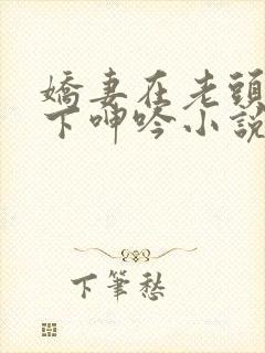 娇妻在老头淫辱下呻吟小说封面