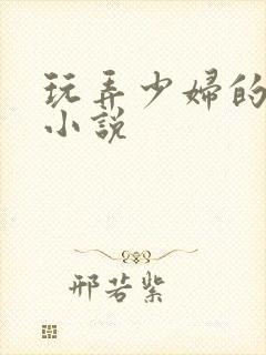 玩弄少妇的悲哀小说