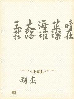 王大海芷晴小说花路璀璨在线阅读