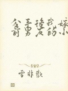 分手后我嫁给了前男友的小叔小说封面