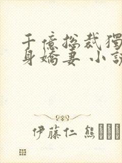 千亿总裁独宠替身娇妻 小说完整封面