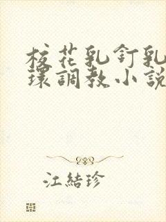 校花乳钉乳环蒂环调教小说