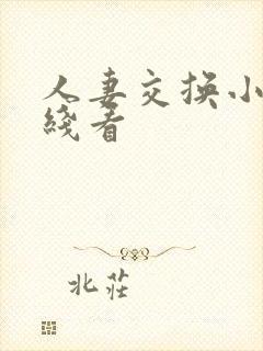 人妻交换小说在线看